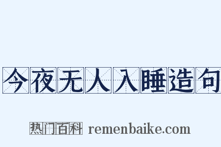 今夜无人入睡造句是什么意思的图片